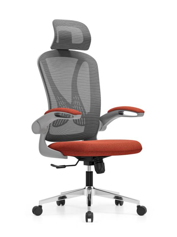 Student Chair - កៅអីសិស្ស